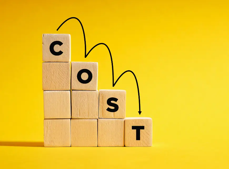 What are Inventory Costs?